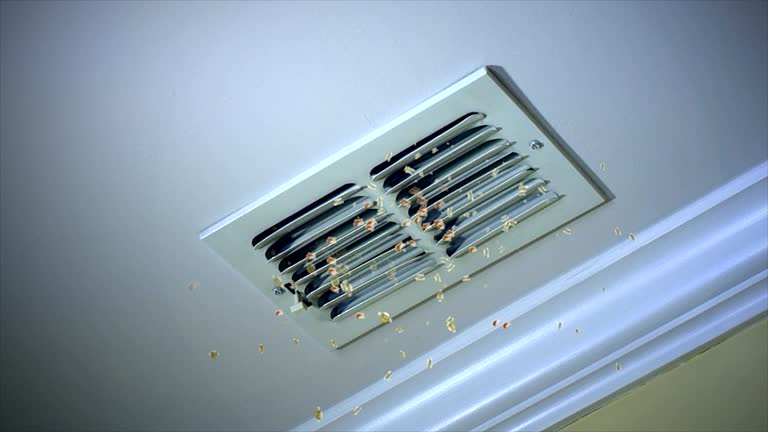 Best Commercial HVAC Duct Cleaning  in Morada, CA